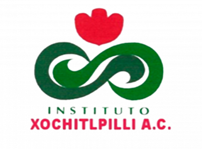 Instituto Xochitl Pilli, A.C.
